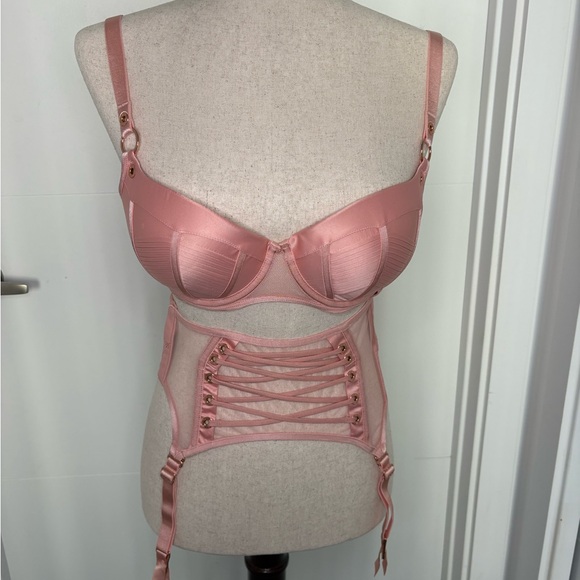 Honey Birdette Jerry Bra, Brief, and garter Blush Pink Bra Full Set - Picture 5 of 12